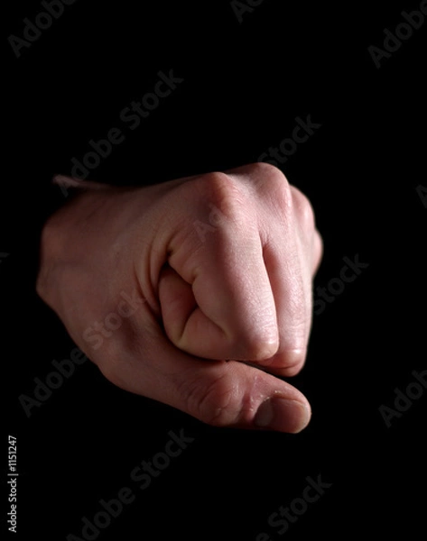 Obraz fist
