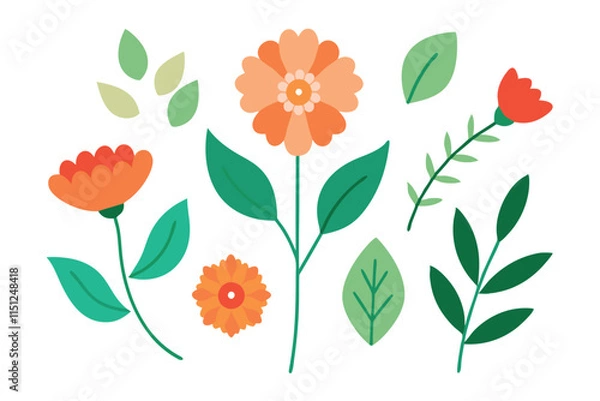 Obraz  Botanic set of leaves and flower vector illustration.