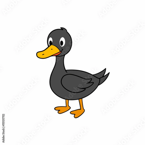 Obraz duck