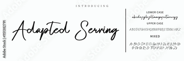 Obraz signature Font Calligraphy Logotype Script Brush Font Type Font lettering handwritten