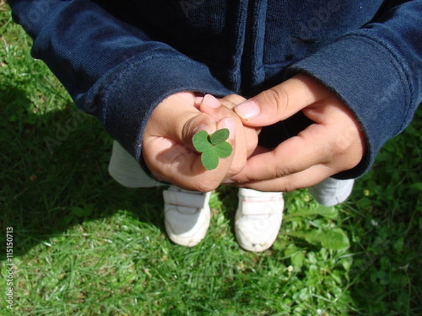 Obraz Four-leaf clover