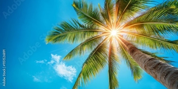 Fototapeta A close up view captures the lens flare effect of a towering coconut palm stretching toward the horizon under a bright, clear blue sky.