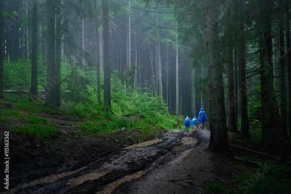 Fototapeta Carpathian Mountains