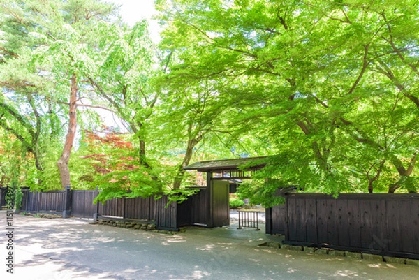 Obraz 【重伝建】仙北市角館（武家町）　秋田県