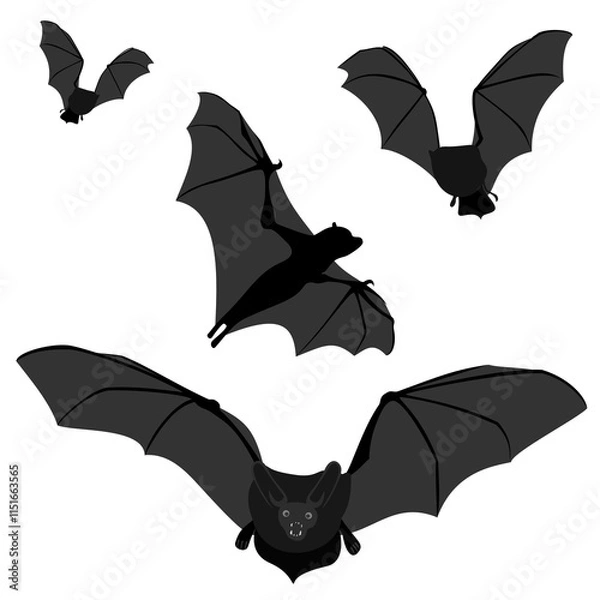 Obraz Fledermäuse - Halloween