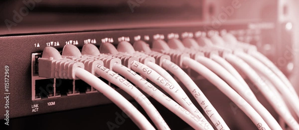 Obraz UTP Cat5e Cable with patch panel