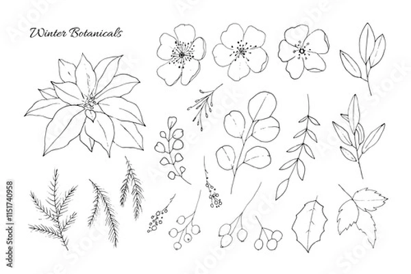Obraz Winter Botanical Vector Set in Black and White