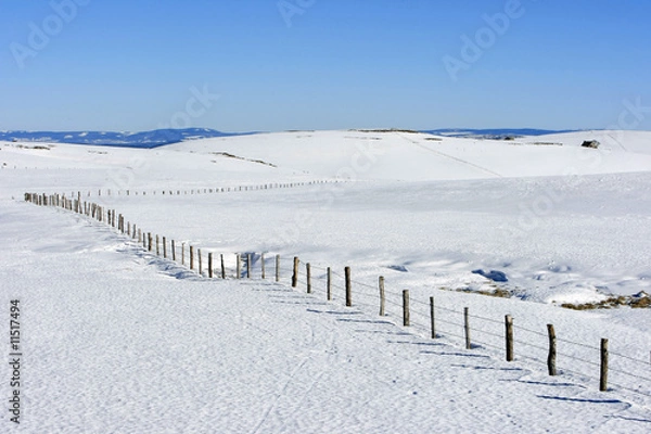 Obraz paysage aubrac