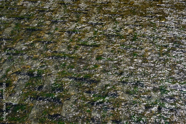 Fototapeta 上高野の高野川の流れ