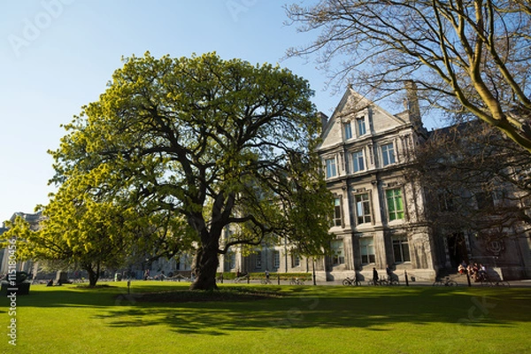 Obraz The grounds in Trinity College, Dublin, Ireland
