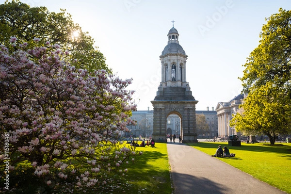Obraz The campanile in Trinity College, Dublin, Ireland
