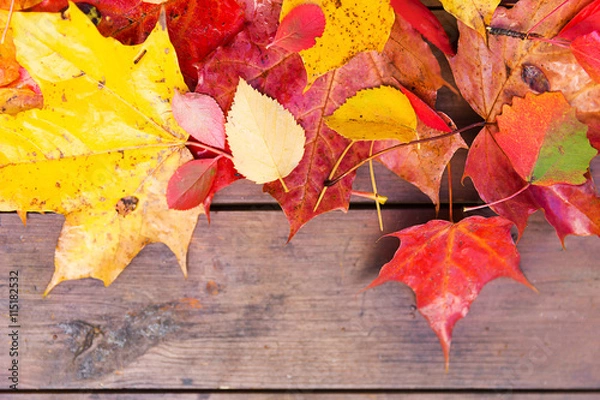 Obraz Autumn fall leaves background