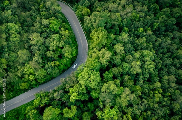 Obraz Aerial top view of electric vehicle driving on highway road in green forest. Sustainable transportation, zero emissions, and eco-friendly mobility for reducing carbon footprints. Road infrastructure.