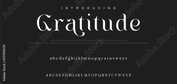 Fototapeta Luxury serif font in modern style. Elegant wedding alphabet letters font and number. Typography Luxury classic lettering serif fonts decorative vintage retro logo