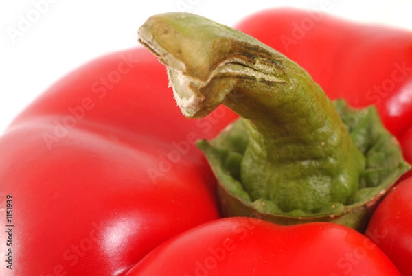 Obraz red pepper's stem