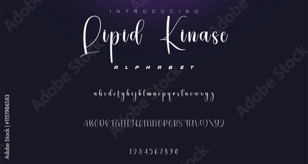 Obraz signature Font Calligraphy Logotype Script Brush Font Type Font lettering handwritten