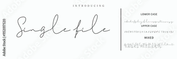 Fototapeta Hand drawn vector alphabet. Modern monoline signature script font. Elegant Signature Font. Best Alphabet Beautiful Calligraphy Signature Font lettering