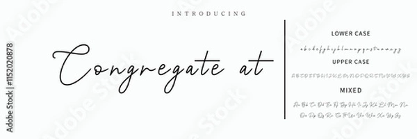 Fototapeta Hand drawn vector alphabet. Modern monoline signature script font. Elegant Signature Font. Best Alphabet Beautiful Calligraphy Signature Font lettering