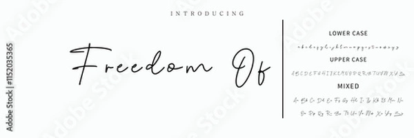 Fototapeta Signature Font Calligraphy Logotype Script Font Type Font lettering handwritten.