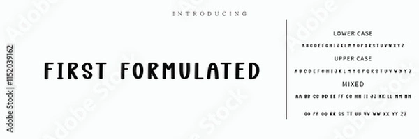 Fototapeta Signature Font Calligraphy Logotype Script Font Type Font lettering handwritten.