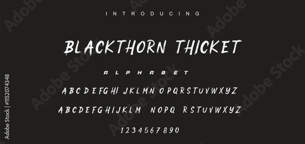Fototapeta Vector brush style font, alphabet, and typeface