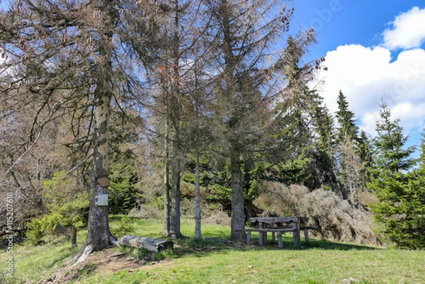 Fototapeta Predny Choc, Slovakia