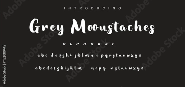 Fototapeta Vector brush style font, alphabet, and typeface