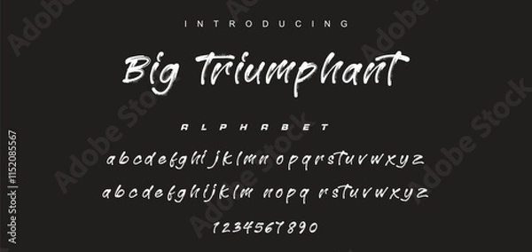 Fototapeta Vector brush style font, alphabet, and typeface