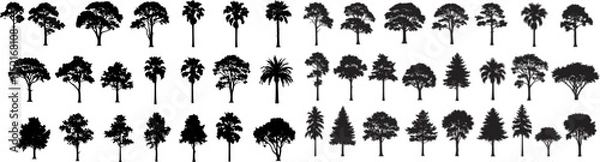 Obraz silhouette tree line drawing set, Side view, set of graphics trees elements outline symbol for architecture and landscape design drawing. Vector illustration in stroke fill in white. Tropical