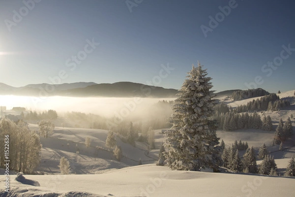 Obraz Winter mountain  Landscape