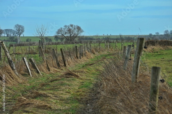 Obraz Landschaft bei Orsbach Aachen 1