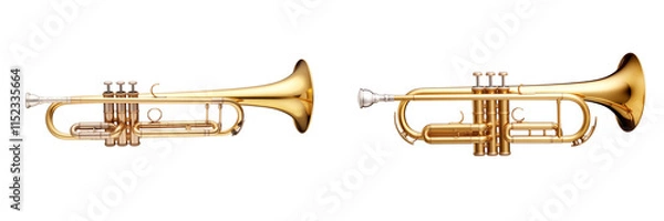 Fototapeta Set of a realistic golden trumpet, isolated on transparent background.