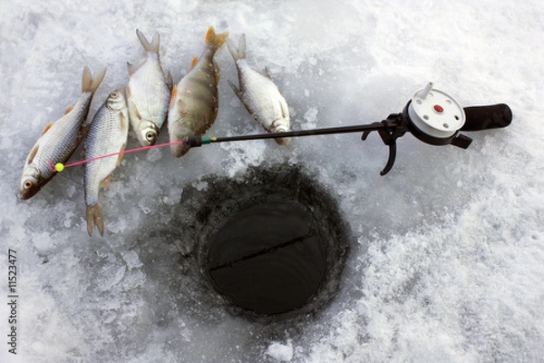 Obraz Winter fishing