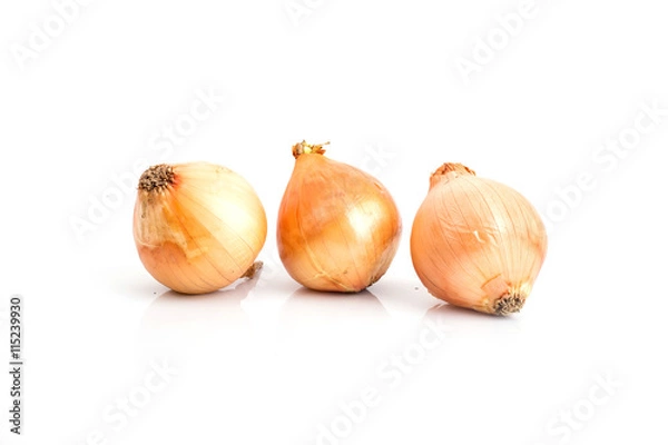Obraz onion. isolate on white background