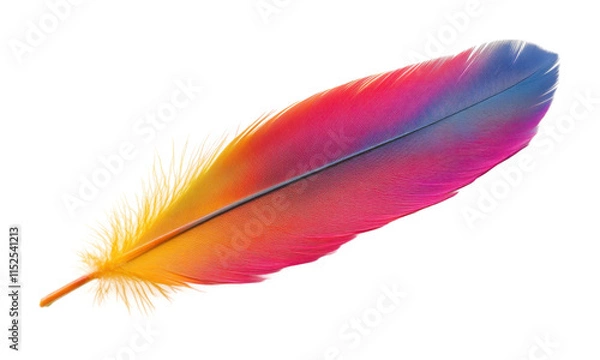 Obraz Vibrant rainbow feather with soft gradient shades of pink, yellow, blue, and orange, artistic and nature-inspired delicate design isolated on transparent background