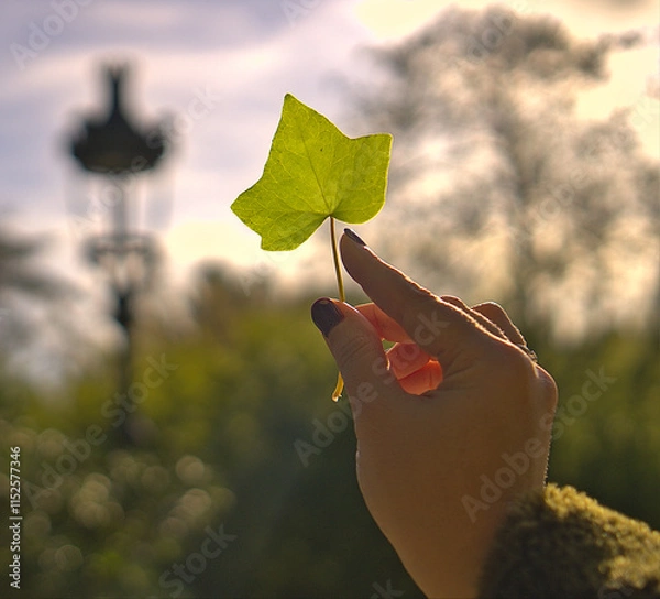 Obraz Green Leaf Silhouette with Bokeh Background