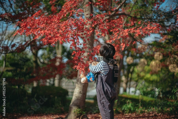 Obraz 紅葉とぼく