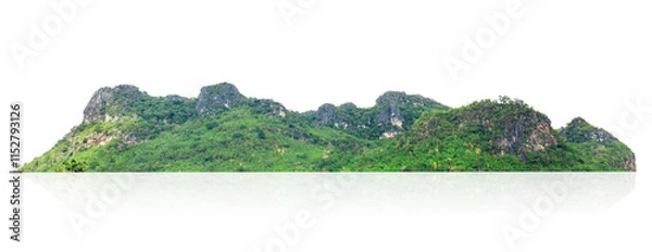 Obraz mountain range with a green forest in the foreground