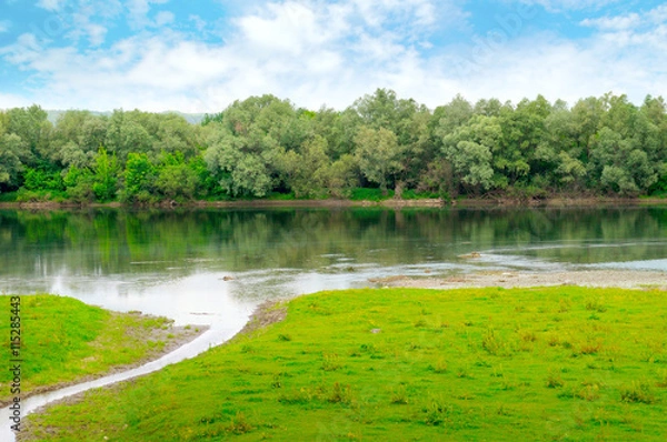 Fototapeta plain river with inflows and floodplain forest