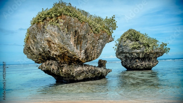 Obraz Mushroom Rock Beach
