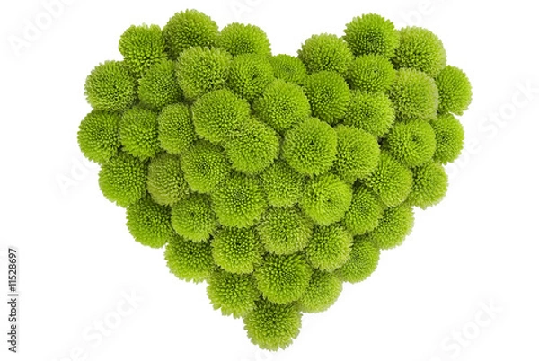 Obraz chrysanthemum in love shape