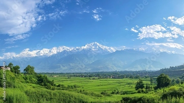 Fototapeta A panoramic view of majestic mountains and lush green fields under a blue sky.