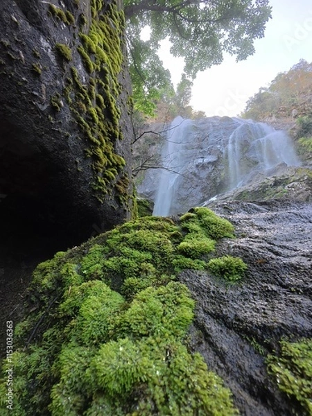 Fototapeta Khlonglan waterfall with moss in rainforest