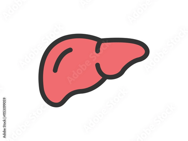 Obraz 肝臓のアイコン（線画カラー）のイラスト