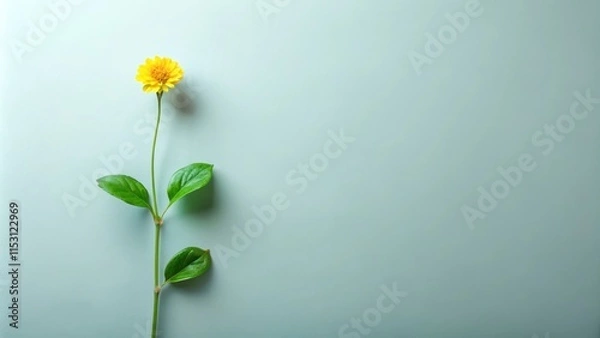 Fototapeta A single stem with green leaves and a small yellow flower at the top, botanicals, stems,  botanicals, stems, nature