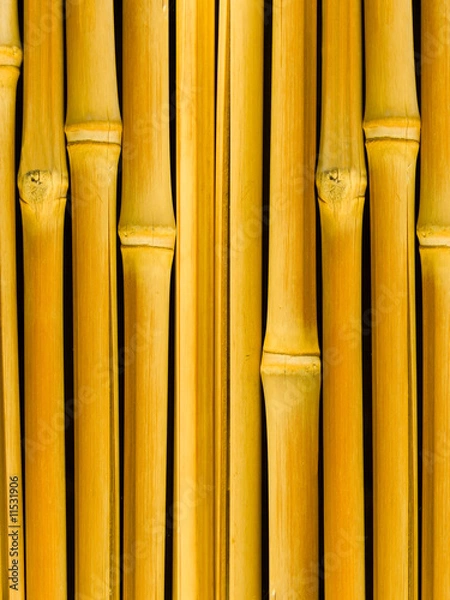 Obraz Tree a bamboo trunks