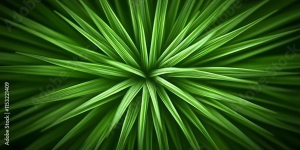 Obraz A close-up view of green, spiky grass or plant leaves arranged in a star-like pattern. Concept Close-Up Photography, Star-Like Arrangement, Green Plant Details, Nature's Patterns, Textured Leaves