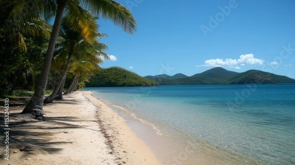 Fototapeta Tropical Beach Scene With Palm Trees And Clear Ocean