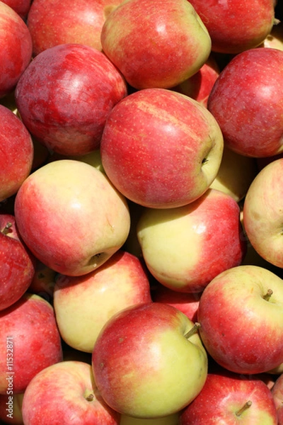 Obraz Red apples background