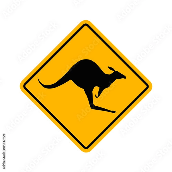 Obraz kangur - kangur